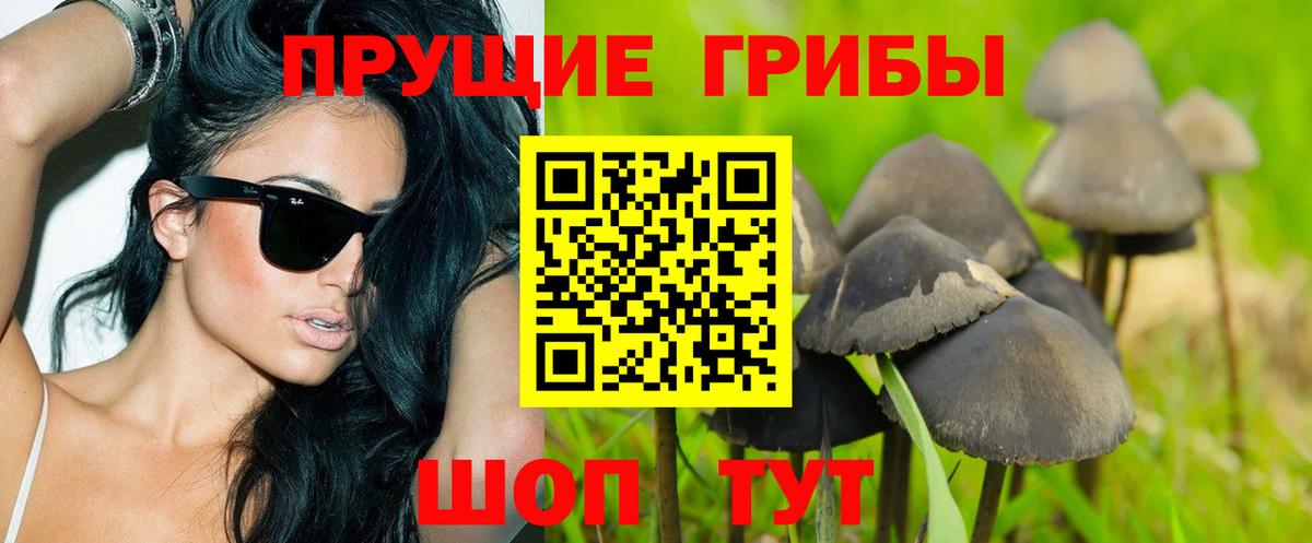 Галлюциногенные грибы мицелий  Галлюциногенные грибы Cubensis  Вход с VPN  Рязань 